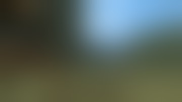 the antlion combined with "dismemberment gore reconstructed" mod is terrifying