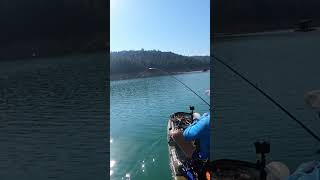 When the spots are chasing bait the crankbait is king! #kayakfishing #bassfishing #newshorts #shorts