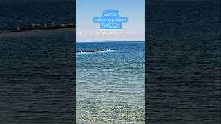 Одесса⚓️. Чайки в солнечный день 21.10.2025 #odessa #море #ukraine #travel #отдых #beach #пляж