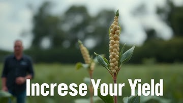 Soybean Farmers! Increase Your Yield NOW!