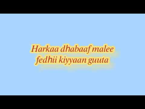 Harka Dhabaaf Malee OBNoromiyaa Fanamediacorporation EBCworld