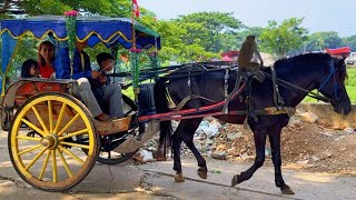 Download Lagu KALO KAU SUKA HATI TEPUK TANGAN - NAIK DELMAN ISTIMEWA - LAGU NAIK DELMAN - KUDA - KUDA DELMAN MP3 Download Lagu KALO KAU SUKA HATI TEPUK TANGAN - NAIK DELMAN ISTIMEWA - LAGU NAIK DELMAN - KUDA - KUDA DELMAN MP3