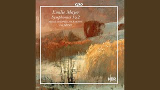 Symphony No. 1 in C Minor: IV. Finale. Adagio - Allegro