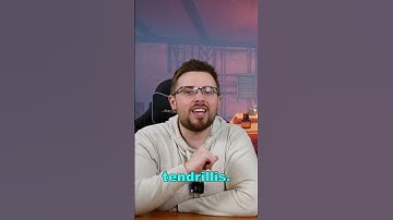 D&D - Druidic Messages #fantasy #writing #dnd #storytelling #worldbuilding #podcast #rpg