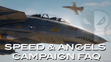 DCS F-14 Speed & Angels Campaign FAQ