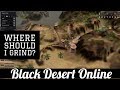 Black Desert Online [BDO] Where to Grind with X AP?