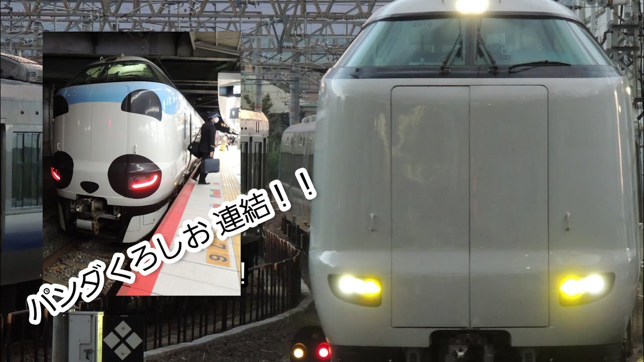 289系 特急くろしお24号 和歌山駅 入線 (パンダくろしお連結) - YouTube