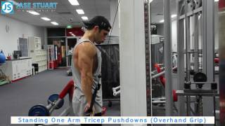 Standing One Arm Tricep Pushdowns Overhand Grip