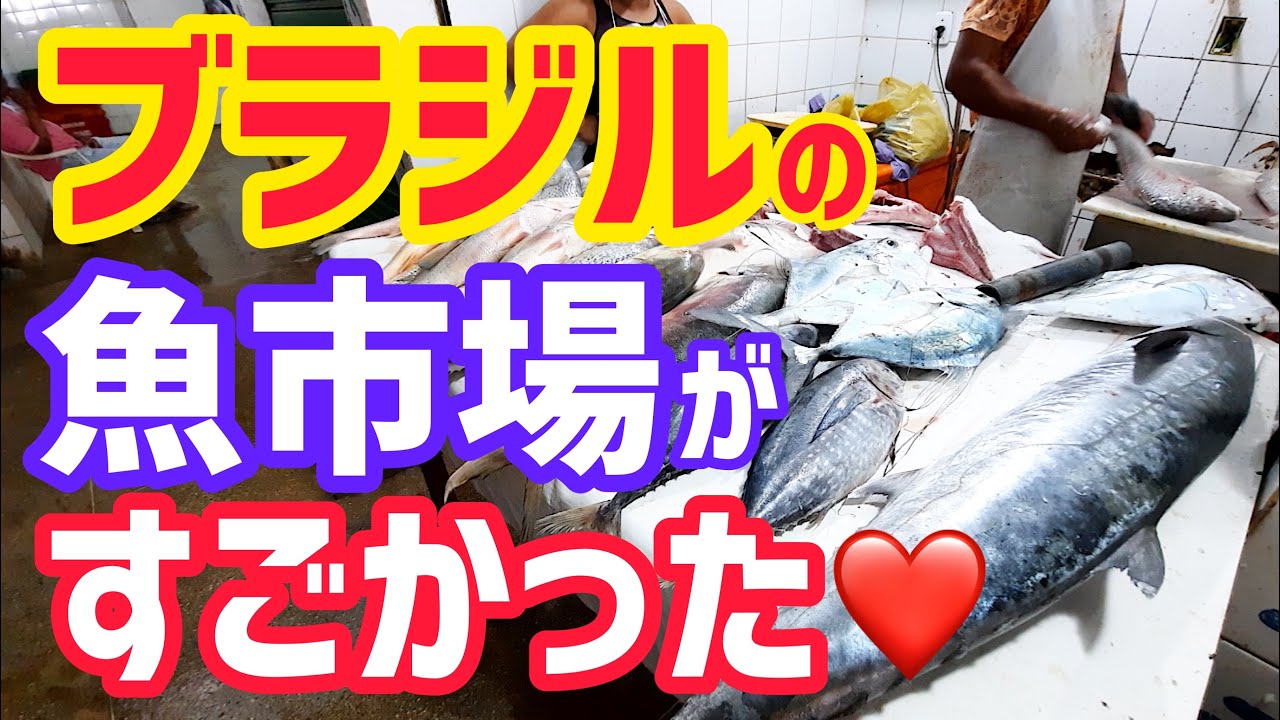 ブラジルの下町 海辺の街の魚市場がすごかった ブラジル田舎暮らし Vlog Youtube