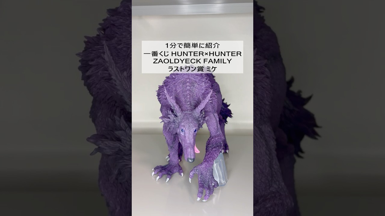 HUNTER×HUNTER] 1-Minute Review: Ichiban Kuji ZAOLDYECK FAMILY Last