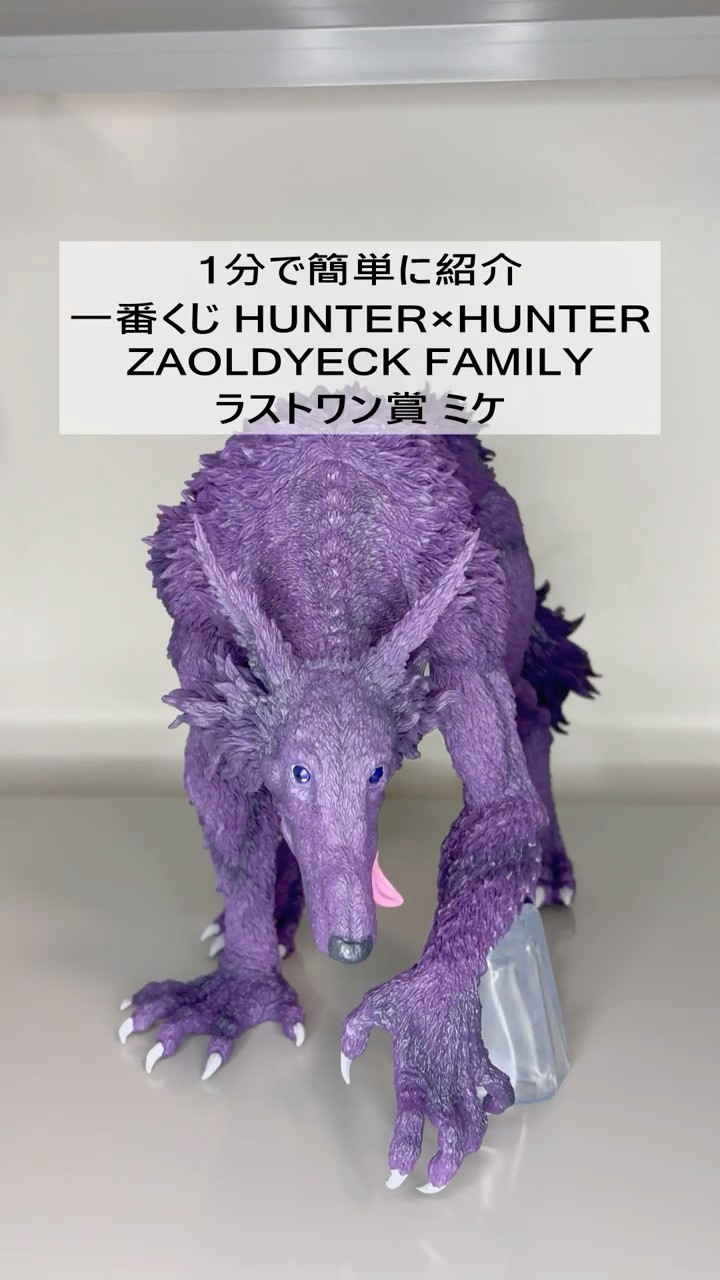 HUNTER×HUNTER] 1-Minute Review: Ichiban Kuji ZAOLDYECK FAMILY Last