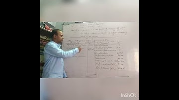 format, liquidation of company B.com