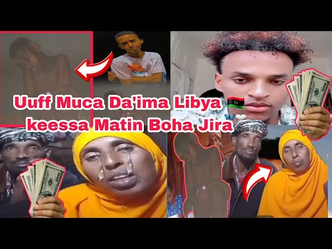 Uuff Muca Da Ima Kan Waan Ini Godhe Libya Keessati Harmen Isa Boha Jirti Ibsisha