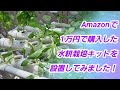 Amazonで1万円で購入した水耕栽培キットを設置してみた！