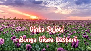 Cinta Sejati - Bunga Citra Lestari cover by Aldi Rahman