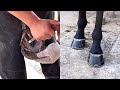 Crazy trimming horseshoe craftsmanship,The horse is like wearing brand new leather shoes