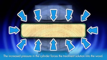 Pressure Treated Wood: The Complete Guide to the Pressure Treatment Process for Wood
