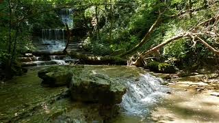 Bash Creek Falls Louisville’s Hidden Wilderness Oasis