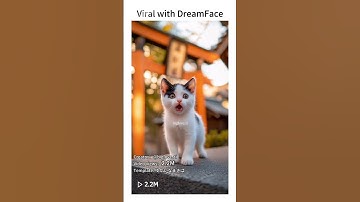 Viral with DreamFace. Create your own kitty video today with DreamFace.
