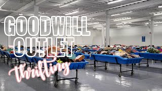 Goodwill Bins! ~ Lets Go Thrifting ~ A quick Trip