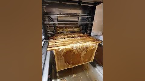 Honey Frame Uncapping Machine #SHORTS