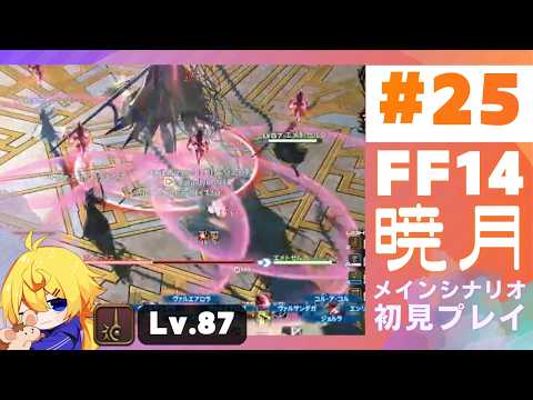 【FF14暁月】初見87IDでめちゃくちゃになる午前三時のヒカセン　#唯智