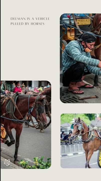Kereta transportasi jadul tradisional.. Menggunakan Tenaga Kuda.. #delman #tradisional #shorts