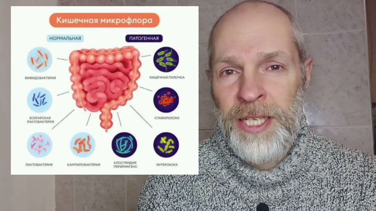 Витамин В12 только в мясе?Аппендикс, важный орган для организма ?