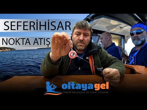 SeferiHisar / Furuno Ekibi ile Nokta Atış / İstavrit, Tırsi, Sinarit, Mercan Avı