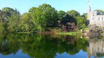 I commit to looking forward by looking back. SoulMLM.com