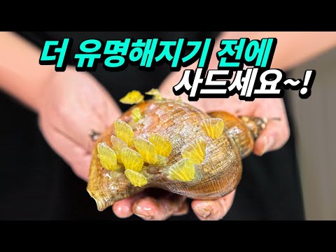 꽃을 피우는 골뱅이가 있다면 당장 <strong>사드세요</strong>~! 진심 감칠맛 폭발합니다.