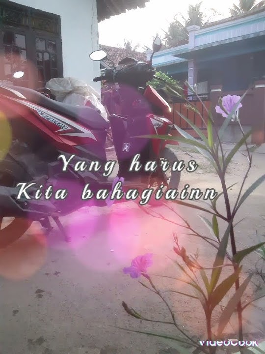 story wa menunggu kamu