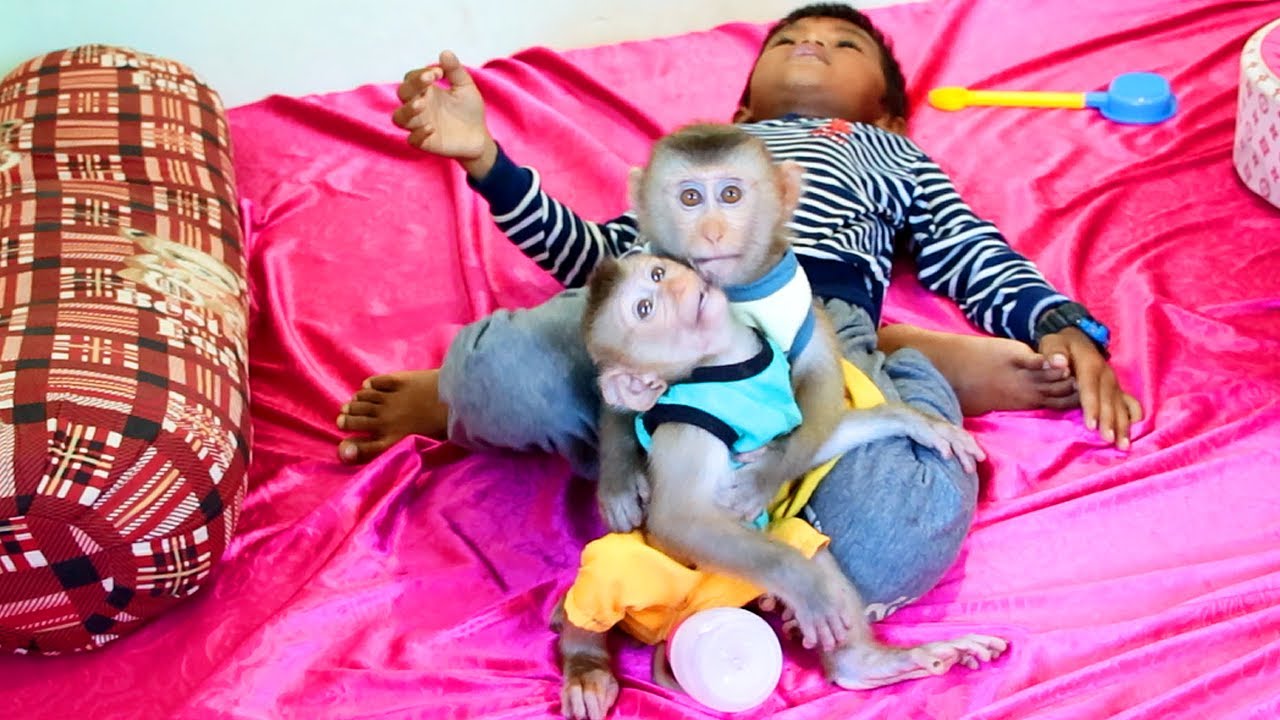 Lyly Request Boki Hugging Comfort but Boki Always Deny | Funny Play Lyly Boki and Both Brothers