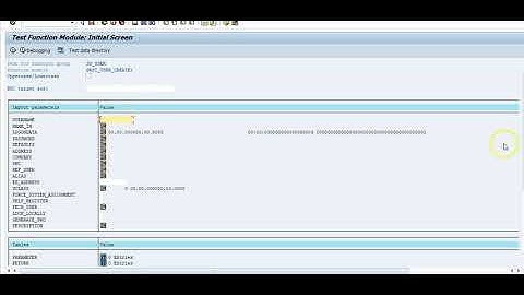 SAP Cyber Risk SE37 Function Module