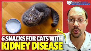 Snacks For Cats With Kidney Disease: Food For Cats With Kidney Disease. Healthy Snacks For CKD Cats