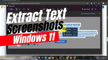 How to Extract Text Specifically from Screenshots on Windows 11