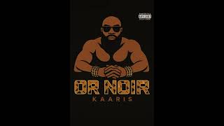 Bizon (Instrumental)