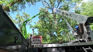 Storm work with  Magnolia Tree Service