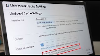 82. LiteSpeed Cache setting optimization