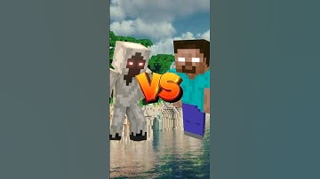 Entity 303 Vs Herobrine || #shorts #viral #minecraft