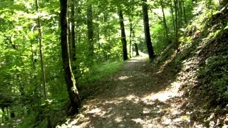 WALKING with Music #3 (classic)
