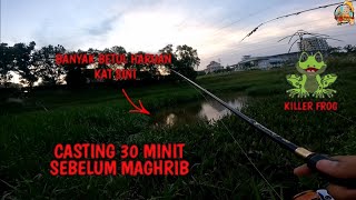 CASTING HARUAN || 30 MINIT SEBELUM MAGHRIB || KILLER FROG @Arelif Fishing