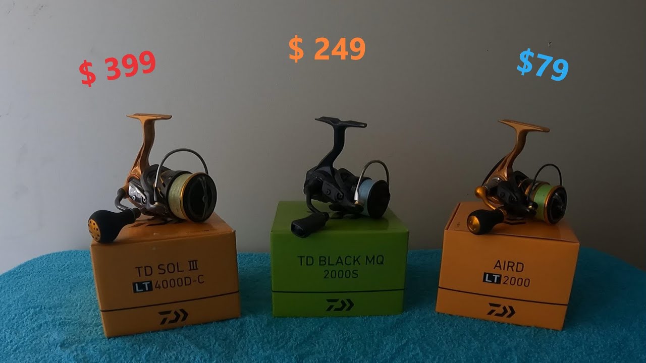 daiwa aird 2000 reel Enjoy advanced features like a precision design and top Daiwa BG2000 BG Saltwater Spinning