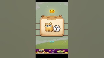 🏅CAT SORT PUZZLE🎧LVL 4-5🐈Gameplay Walkthrough 🎮 #shorts #catsort #catsortpuzzle #walkthrough #funny