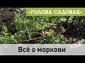 Голова садовая - Всё о моркови