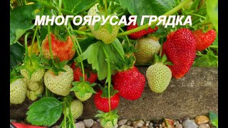 МНОГОЯРУСНАЯ ГРЯДКА ДЛЯ КЛУБНИКИ