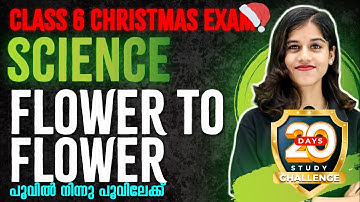 Class 6 Basic Science | Flower to Flower/പൂവിൽ നിന്നു പൂവിലേക്ക് | Full Chapter Revision|Exam Winner