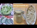How to Make Cactus Powder For Hair and Body Diy