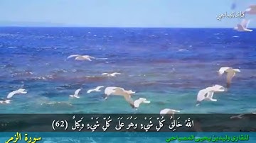 سورة الزمر من ايه62وحتى اية 67 للقارئ وليد المصباحي  حفضه الله من اجمل التلاوات