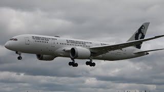 Enrique Piñeyro - Boeing 787-8 Dreamliner - Landing